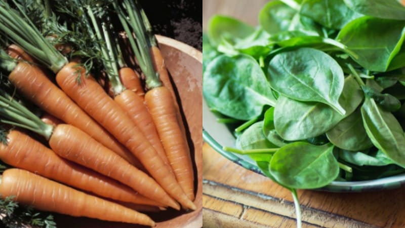 controlar el azúcar en la sangre zanahoria espinaca apio controlar el azúcar en la sangre zanahoria espinaca apio