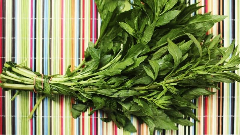 remedios caseros para las lombrices