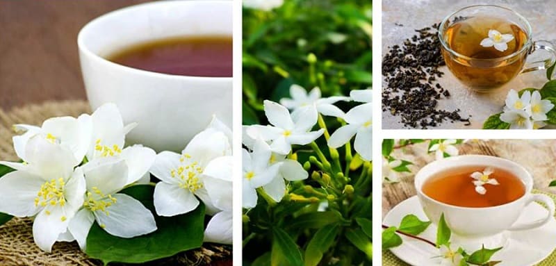 té de jazmín