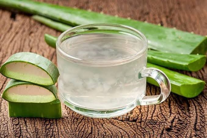 Sábila o aloe vera: qué es, propiedades, beneficios