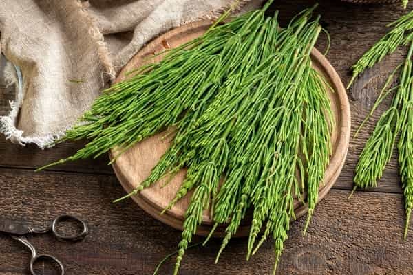 Propiedades de la Cola de Caballo